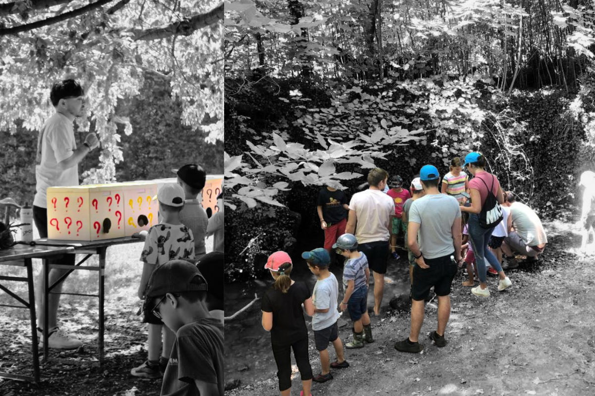 Chemin de levolution