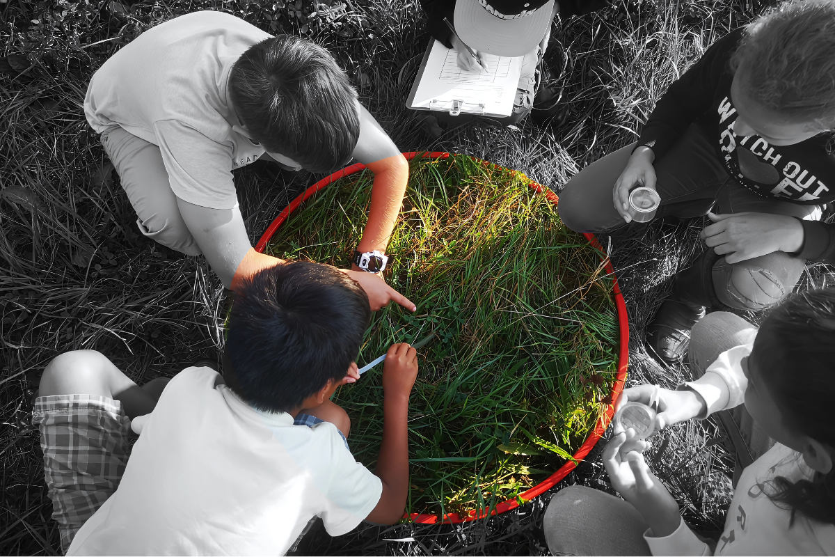 Biodiversité à l'école